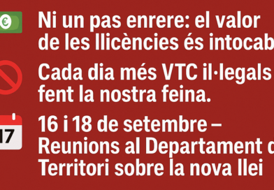 LLEI DE TRANSPORT DE VIATGERS EN VEHICLES DE MENYS DE NOU PLACES